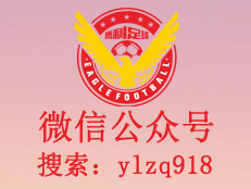 微信公众号：ylzq918